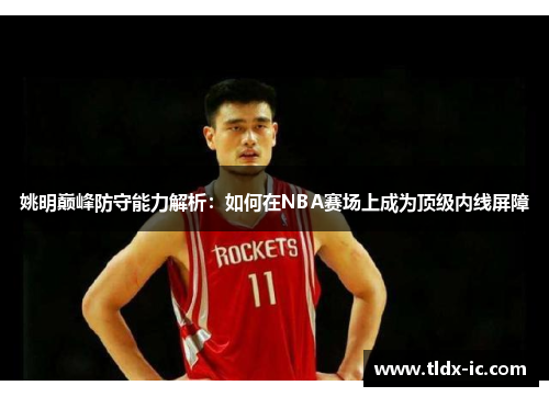 姚明巅峰防守能力解析：如何在NBA赛场上成为顶级内线屏障