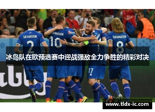 冰岛队在欧预选赛中迎战强敌全力争胜的精彩对决